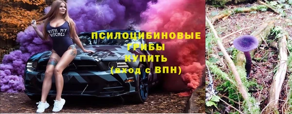 трава Тында