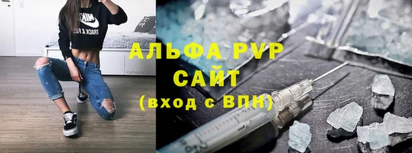 прущие грибы Покров